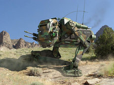 MW_81.jpg